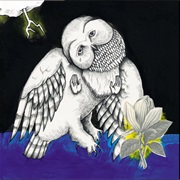 Hold on Magnolia - Magnolia Electric Co.