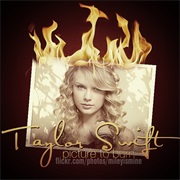 Picture to Burn - Taylor Swift