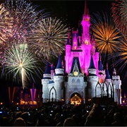 Take My Niece to Disney World