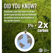 Go Peat Free. Peat Composts Destroy Wildlife Habitats That Fix Carbon.