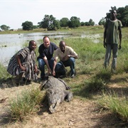 Paga Crocodile Pond, Ghana