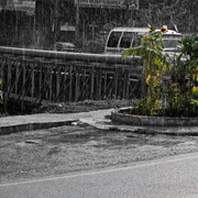 Chocó, Colombia (Most Precipitation)