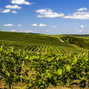 Cricova Winery, Moldova