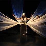 The Sting and Honey Company