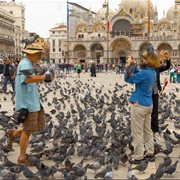 Feeding the Pigeons in St. Mark's Square, Venice