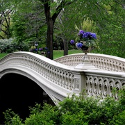 Bow Bridge (Central Park)