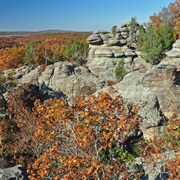 Garden of the Gods (Illinois)