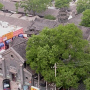 Holy Saviour's Cathedral (Beijing)