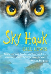 Skyhawk (Gill Lewis)