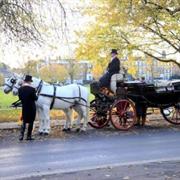 Take a Carriage Ride Through Richmond Park.