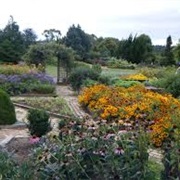 Auckland Botanical Gardens