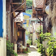Village L'herbe, Bassin D'Arcachon