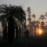 Everglades National Park, FL