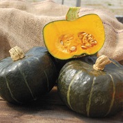 Buttercup Squash