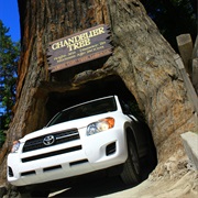 Humboldt Redwoods State Park
