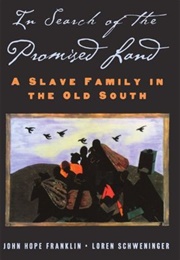 In Search of the Promised Land: A Slave Family in the Old South (John Hope Franklin)