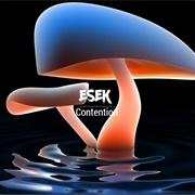 Esek