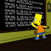 Poking a Dead Raccoon for Research