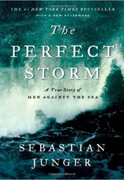 The Perfect Storm (Sebastian Junger)