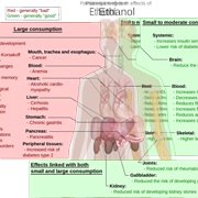 Can Briefly Outline Biological Process of Alcohol Consumption