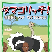 Eggs of Ostrich