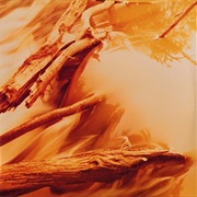 Windy & Carl - Depths