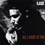 U2 - All I Want Is You