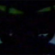 Unidentified Tree-Dwelling Creature