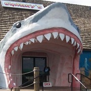 Sharky's (Ocean Shores)