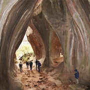 Toro Toro National Park