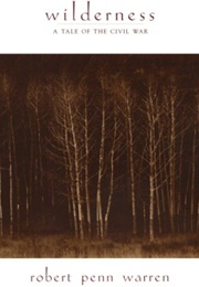 Wilderness: A Tale of the Civil War (Robert Penn Warren)