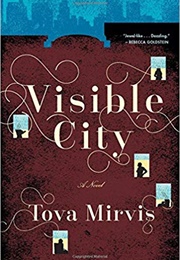 Visible City (Tova Mirvis)