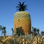 Visit Bathurst Pineapple Museum