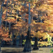 Tallahatchie National Wildlife Refuge
