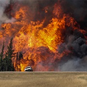 Massive Wildfire