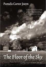 Floor of the Sky (Pamela Carter Joern)