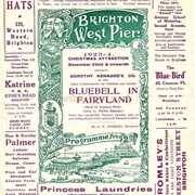 Bluebell in Fairyland