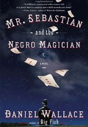 Mr. Sebastian and the Negro Magician (Daniel Wallace)