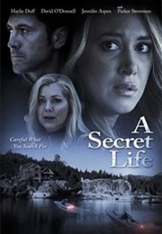 His Secret Family (2015)