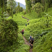 Kokoda Track, Papua New Guinea