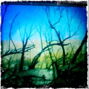 The Joplin Spider - Gorillaz