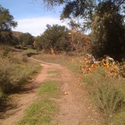 Carbondale Village Site in Silverado