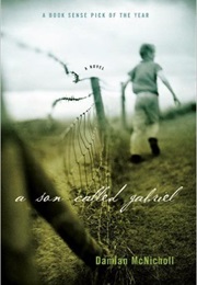 A Son Called Gabriel (Damian McNicholl)