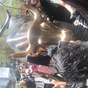 The Charging Bull