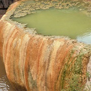 Pumpkin Spring Pool