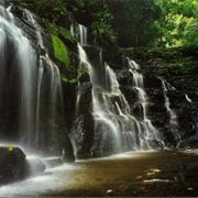 Los Katíos National Park