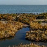Dengie National Nature Reserve
