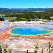 Visiting Yellowstone NP, USA