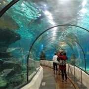 Underwater World, Sentosa Island