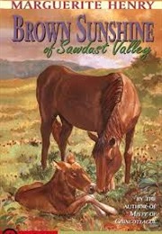 Brown Sunshine of Sawdust Valley (Marguerite Henry)
